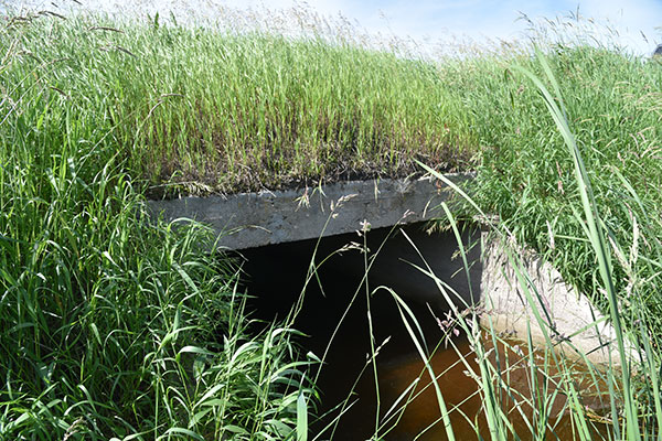 Concrete Culvert Bridge No. 339
