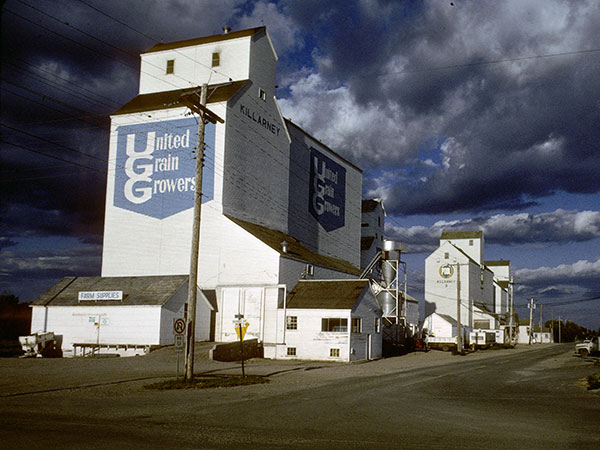 United Grain Growers grain elevator at Killarney, with Manitoba Pool B and A elevators in the background