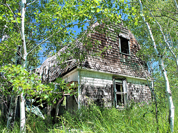 Rear view of the Lambert House