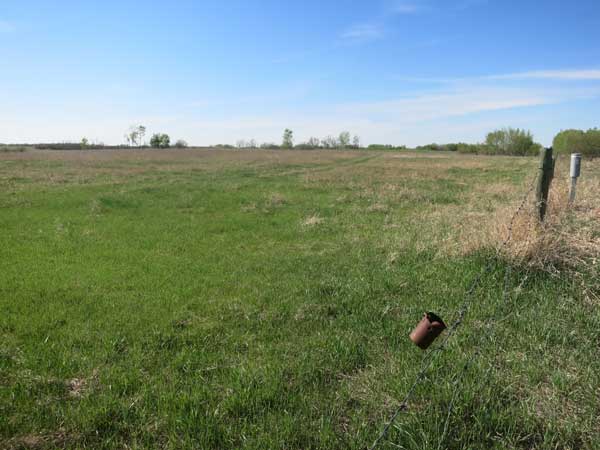 Former location of Lambton School