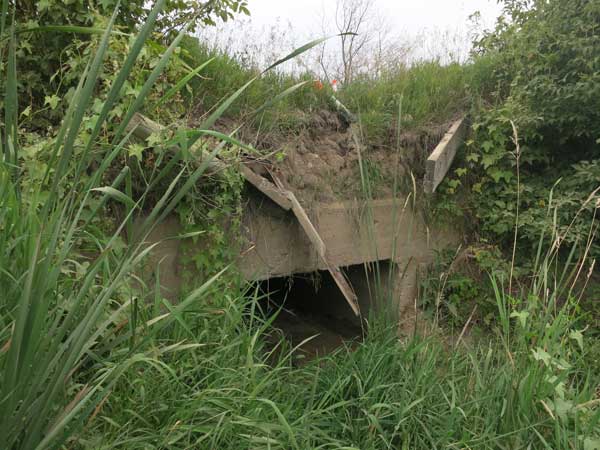 Concrete culvert bridge