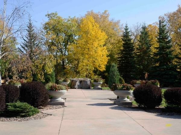 Helena Loewen Garden