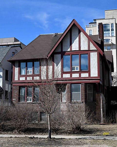 Macaw House, east elevation