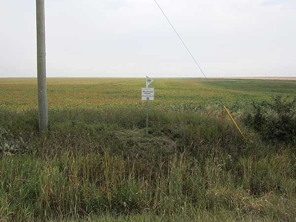 Macdonald School commemorative sign