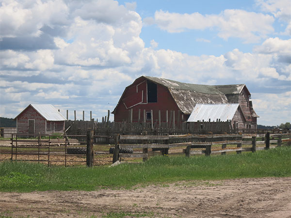 Former dairy barn at the Manitoba Dairy Farms