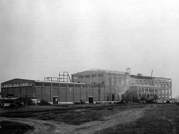 Manitoba Sugar Company plant under construction