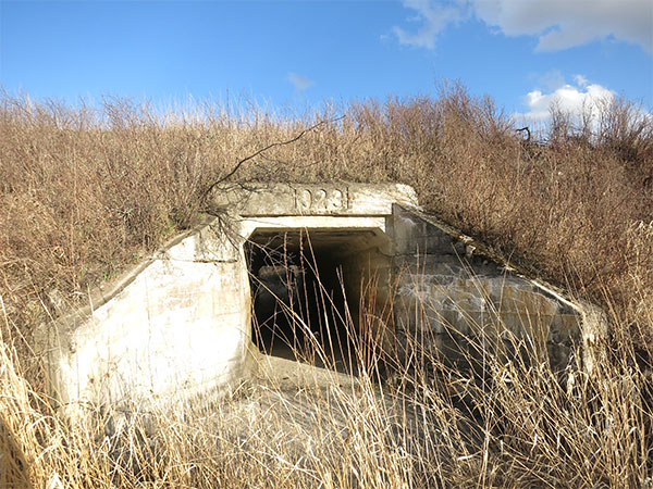 Remains of concrete culvert bridge on Mary Jane Creek