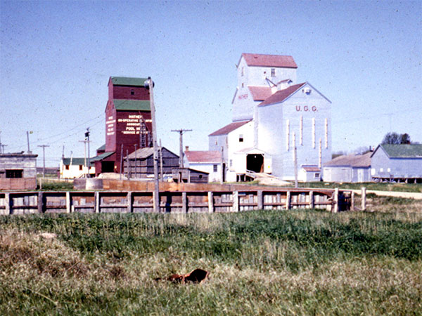 Manitoba Pool and United Grain Growers grain elevators at Mather