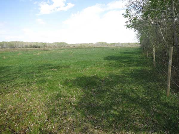 Former site of the Mink River School
