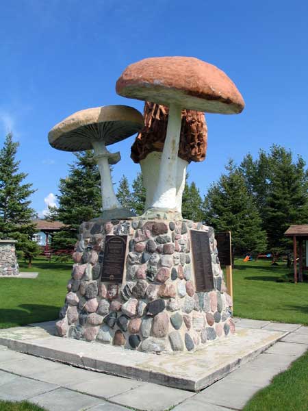 Mushroom monument in the Meleb-Park-Cumming Schools Reunion Park