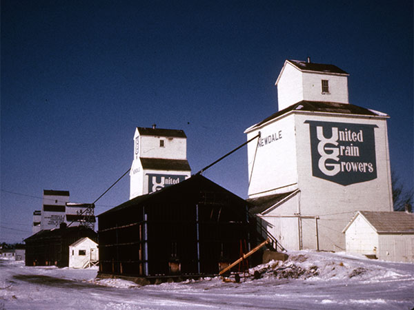 Former Ogilvie Milling grain elevator at Newdale, with the original UGG and Pool elevators at left background