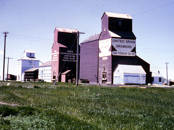 Manitoba Pool Elevator A at Ninga, surrounded by the Pool B elevator at left and the United Grain Growers elevator at right