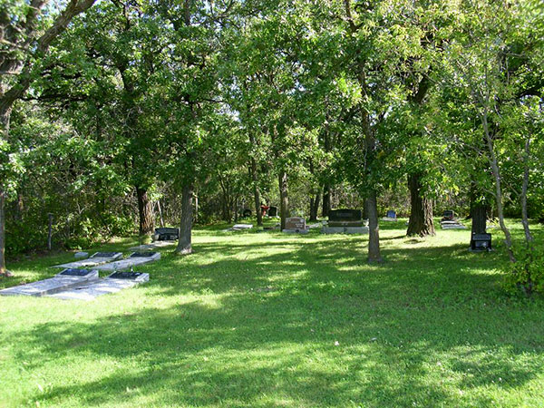 Oak Point Community Cemetery / Johnson Cemetery