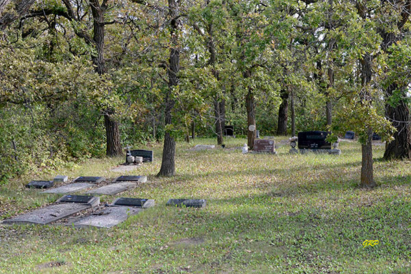 Oak Point Community Cemetery / Johnson Cemetery