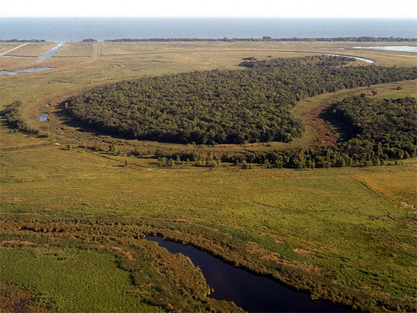 Aerial view of Oxbow Woods looking north toward Lake Manitoba in the background