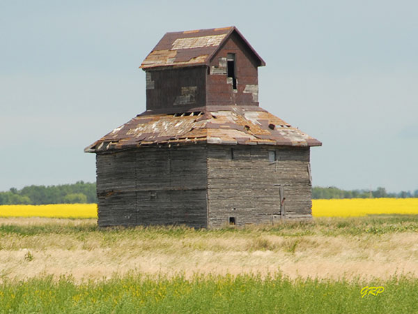 Windsor family grain elevator