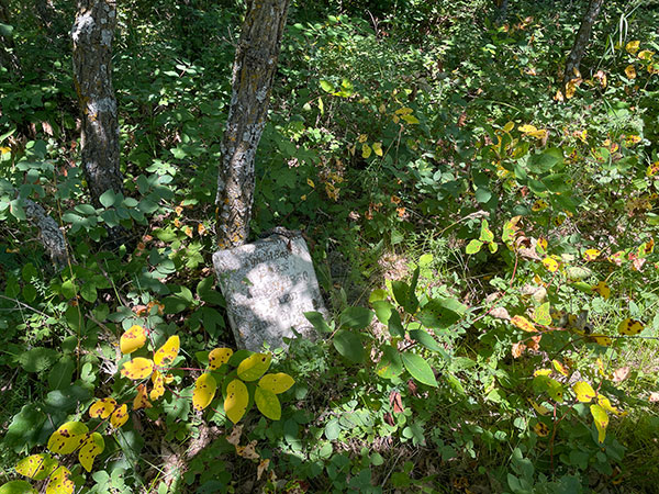 Headstone in Rapid City Pioneer Cemetery / McArthur Cemetery