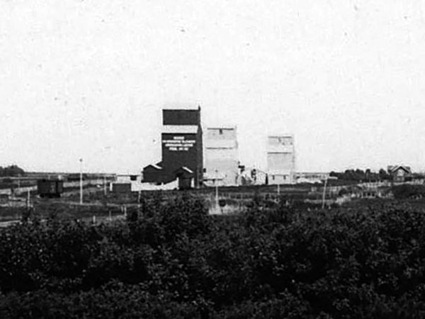 Three grain elevators at Regent: Manitoba Pool at left, Western Canada at middle, and Lake of the Woods at right