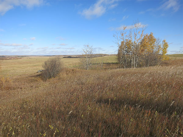 Former site of Riding Mountain House