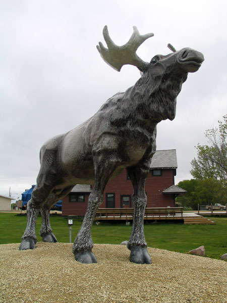 “Lundi Moose” near Riverton Museum