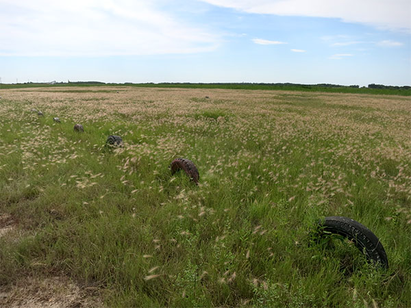 Row of half-buried tires marking the track edge of the former Salt Plains Raceway