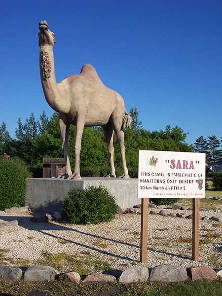 Sara the Camel