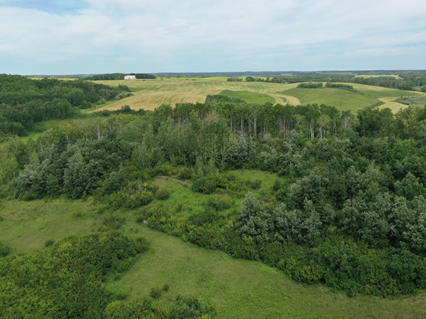 Aerial view of the Sargenia Terraces