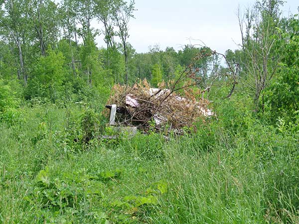 Remains of the Sclater School teacherage