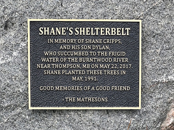 Plaque on Shane's Shelterbelt Monument