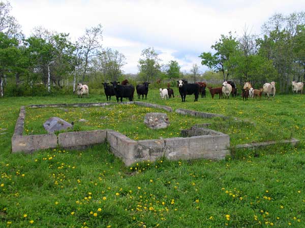 Foundation of the former Sharpewood School building