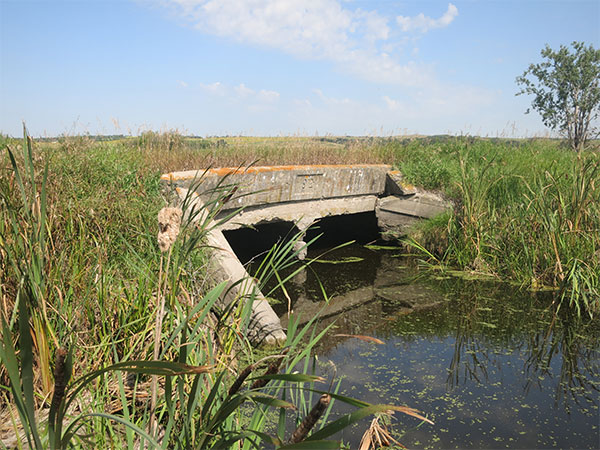 Concrete culvert bridge #827 over Sibbald Creek