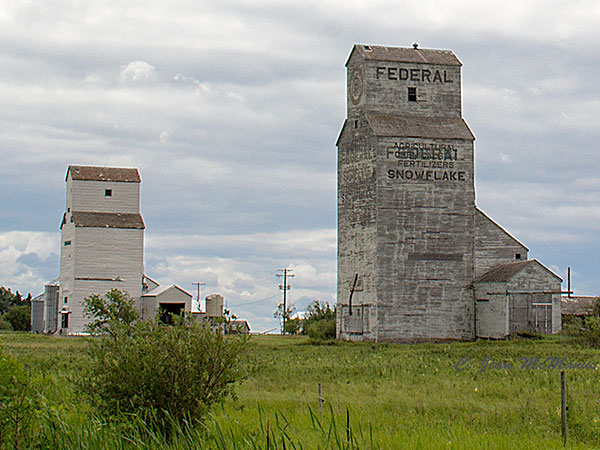 The former Federal grain elevator at Snowflake with the former Manitoba Pool grain elevator in the background