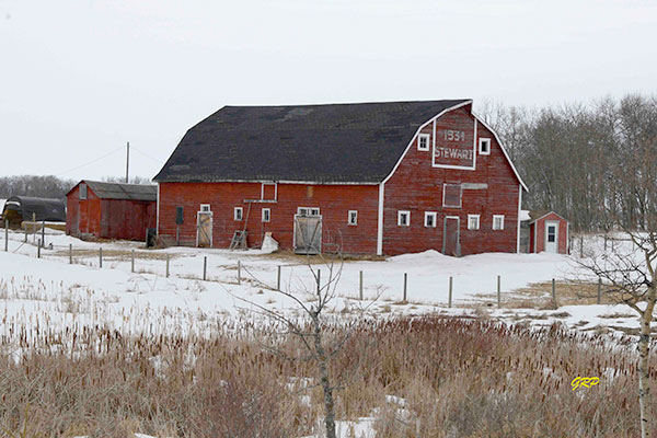 Stewart family dairy barn
