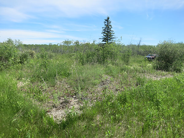 Former site of St. Lambert School
