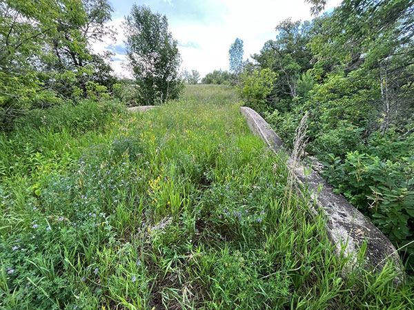 Concrete beam bridge over Sulphur Spring Creek