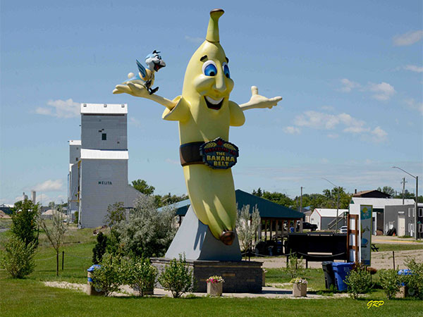 Sunny the Giant Banana monument