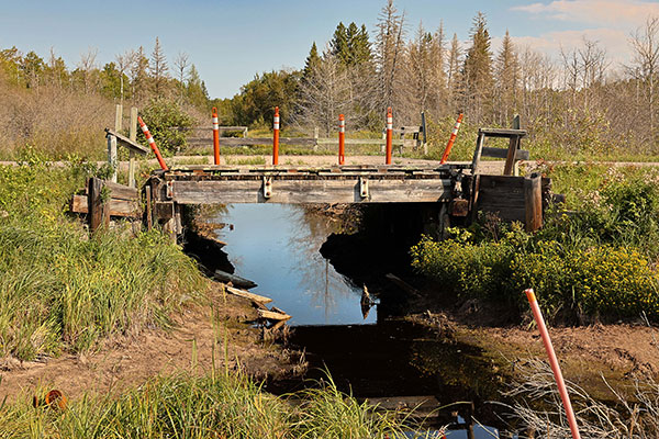 Timber Bridge