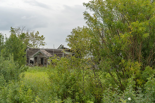 Click to enlarge