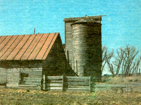 Upright Wooden Silo