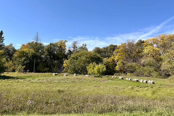 The former site of West Oakland School