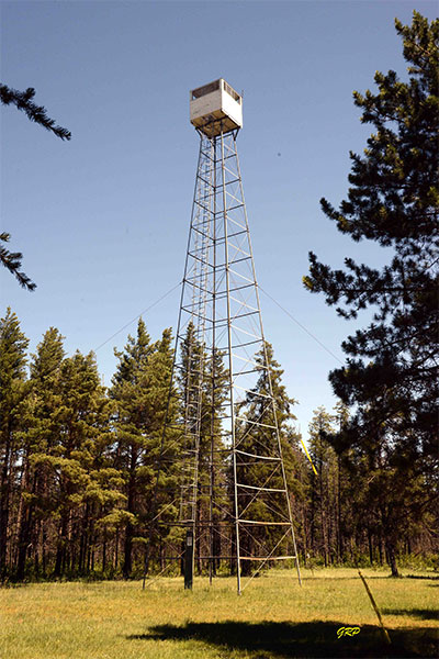 Woodridge Fire Tower