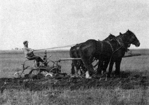 Gerry Andrews, age 14, 9 May 1918.
