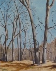 Beaudry Park (1996)