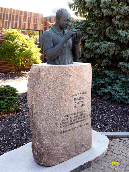 Henry Heard Marshall Monument
