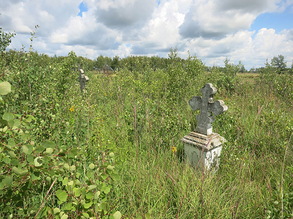 Overgrown monument in the St. Nicholas Ukrainian Orthodox Cemetery